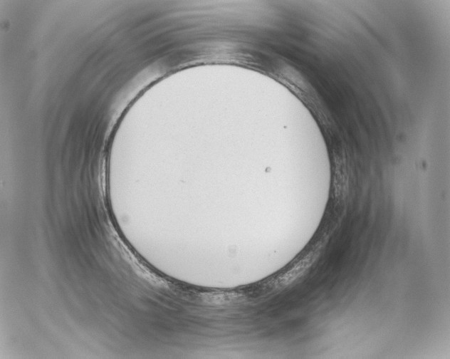 X0000052600804200507221632