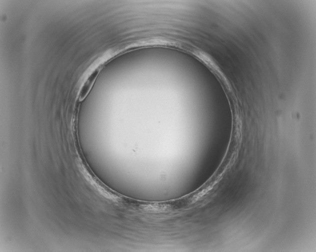 X0000052600805200507221632