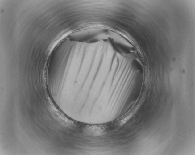 X0000052600806200507221632