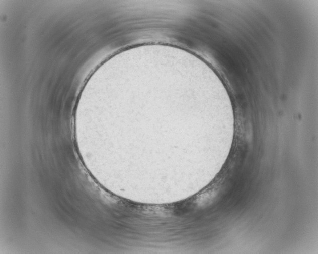 X0000052600807200507221632