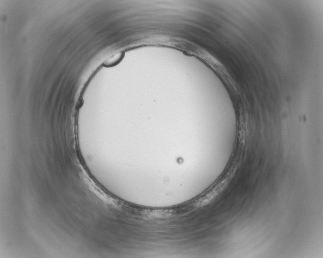 X0000052600808200507221632