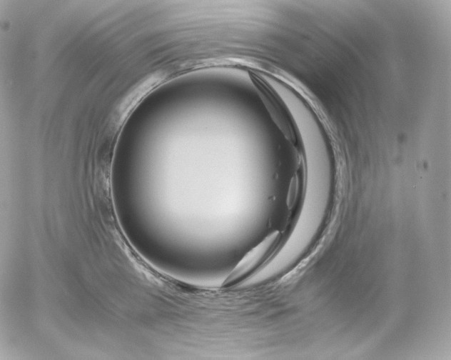 X0000052600809200507221632