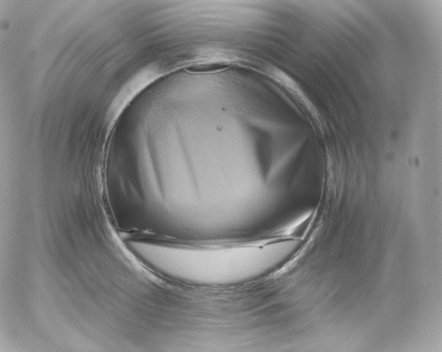 X0000052600810200507221632