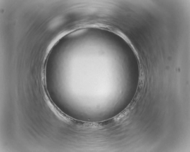 X0000052600811200507221632