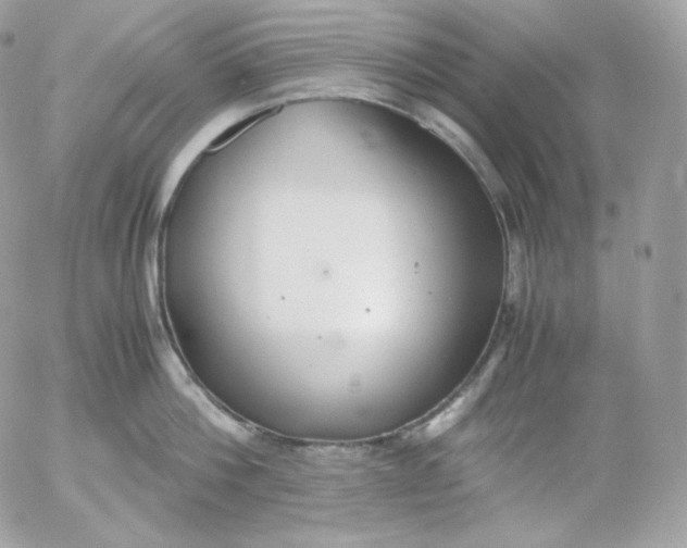 X0000052600812200507221632