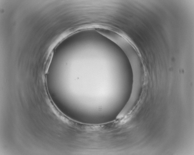 X0000052600813200507221632