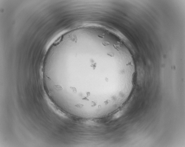 X0000052600814200507221632