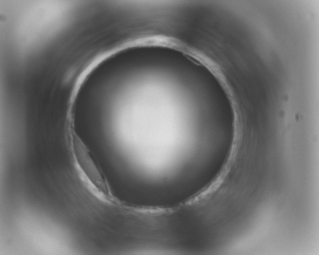 X0000052600816200507221632