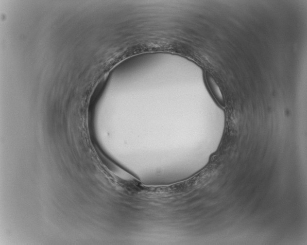 X0000052600817200507221631