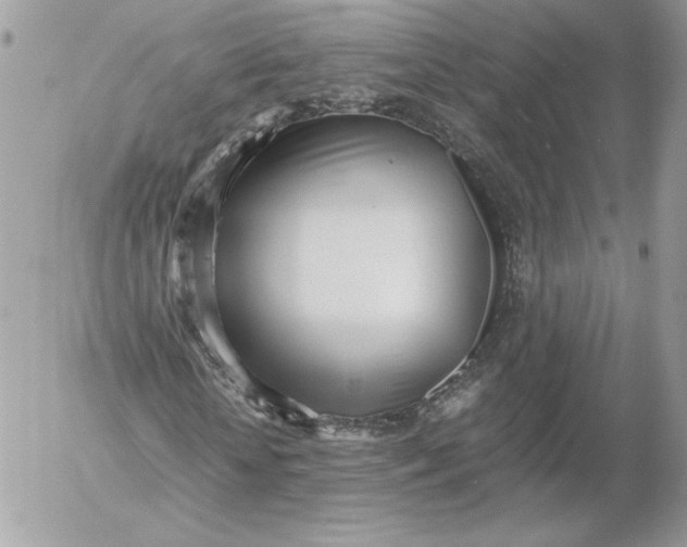 X0000052600818200507221631