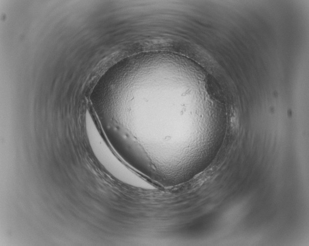 X0000052600819200507221631