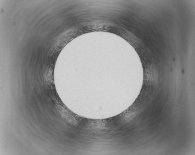 X0000052600820200507221631