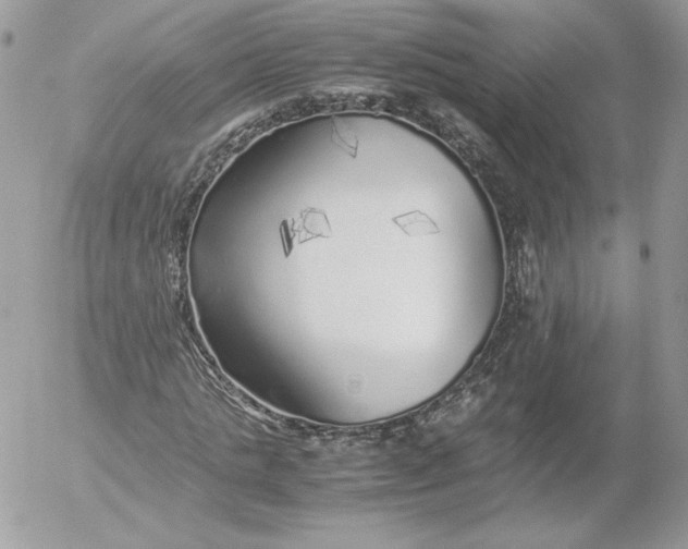 X0000052600821200507221631