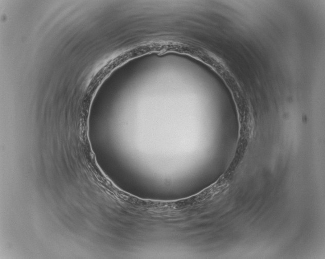 X0000052600823200507221631