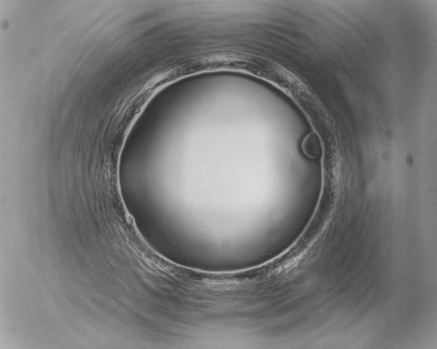 X0000052600825200507221631