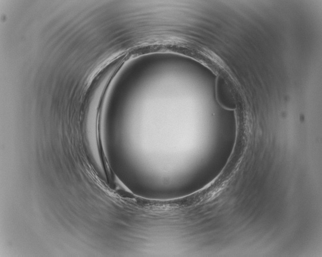 X0000052600826200507221631