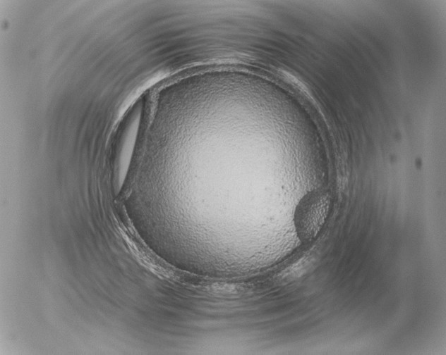 X0000052600827200507221631