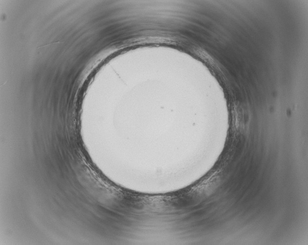 X0000052600828200507221631