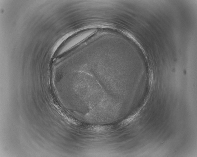 X0000052600829200507221632