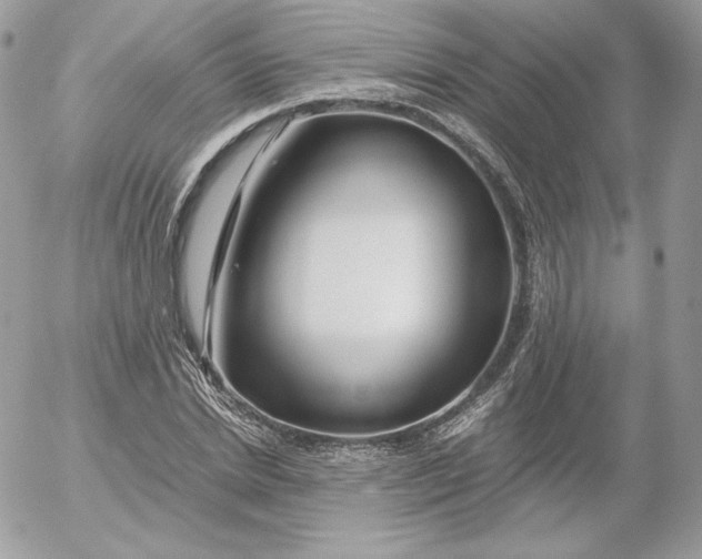 X0000052600830200507221632