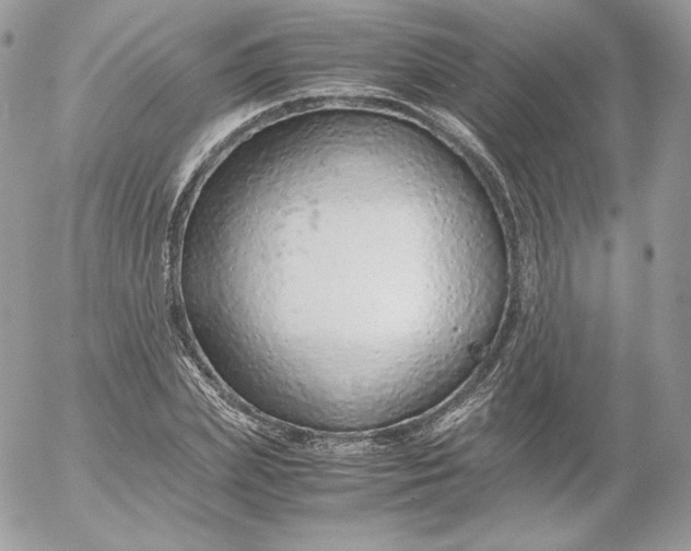 X0000052600831200507221632