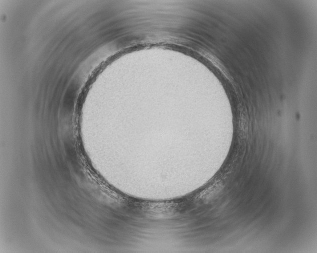 X0000052600832200507221632