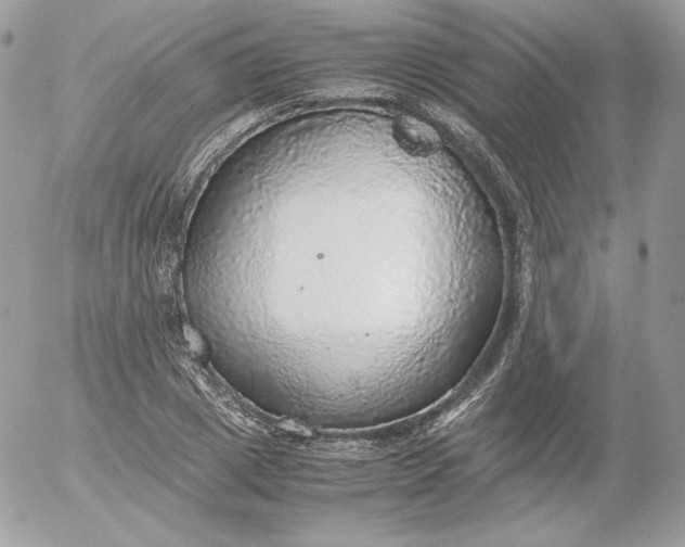 X0000052600833200507221632