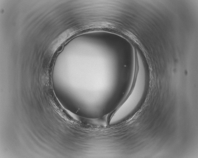 X0000052600834200507221632