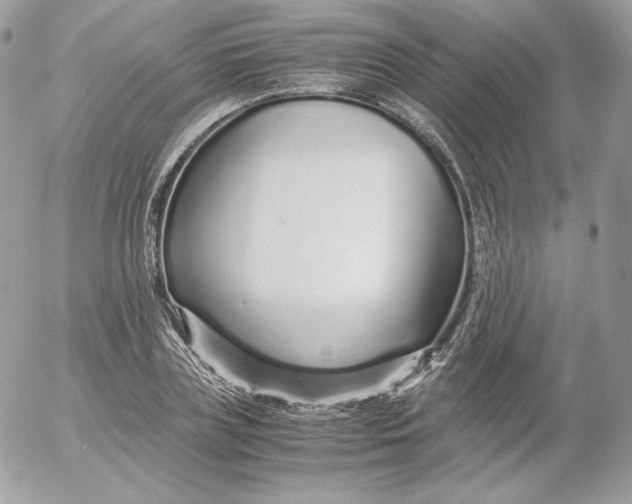 X0000052600835200507221632