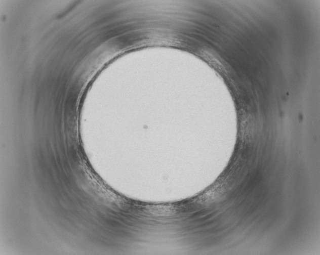 X0000052600836200507221632