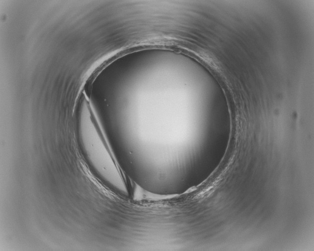 X0000052600838200507221632