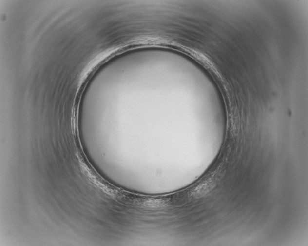 X0000052600839200507221632