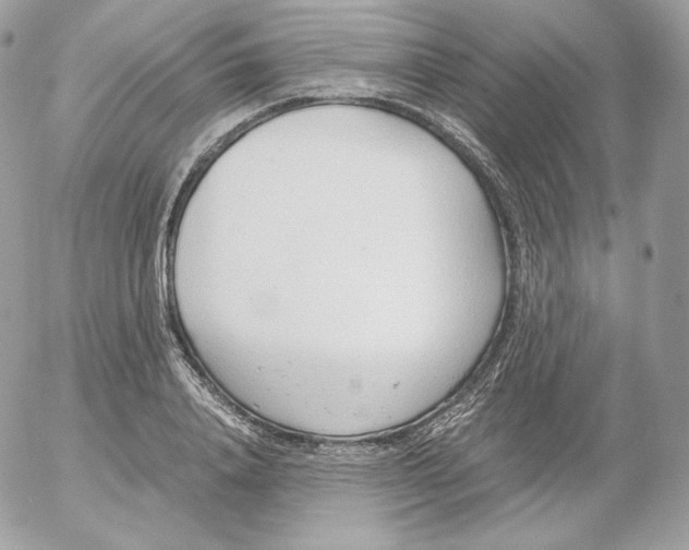 X0000052600840200507221632