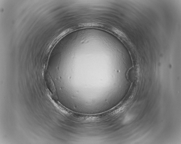 X0000052600841200507221632