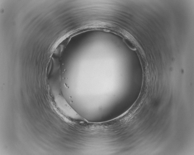 X0000052600842200507221632