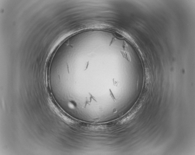 X0000052600843200507221632