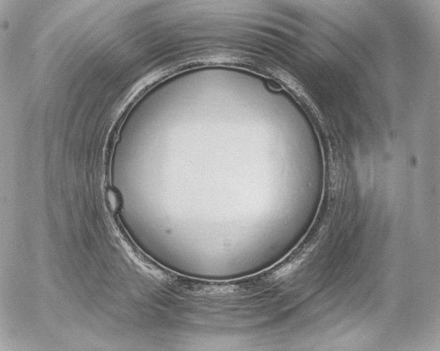 X0000052600845200507221632