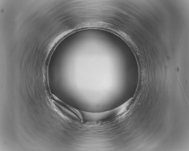 X0000052600846200507221632