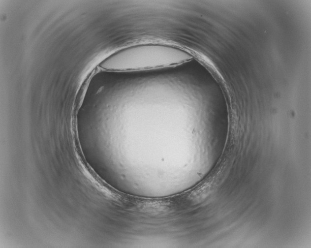 X0000052600847200507221632