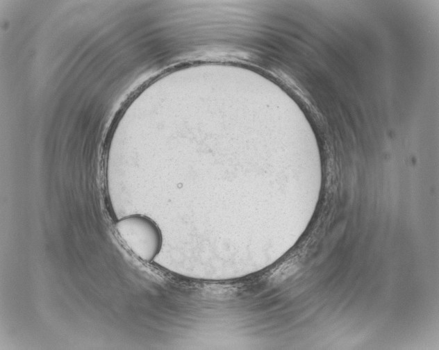 X0000052600848200507221632