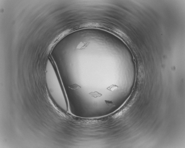 X0000052600849200507221632