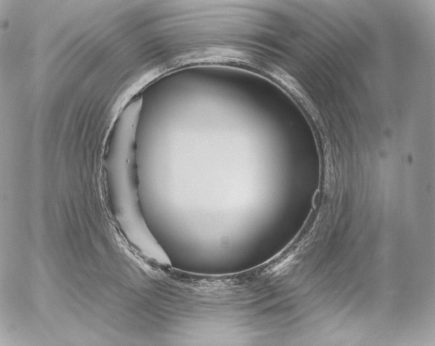 X0000052600850200507221632