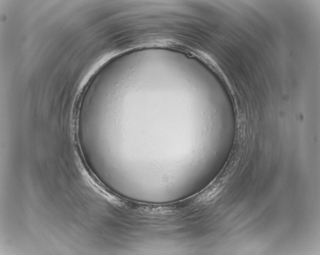 X0000052600851200507221632