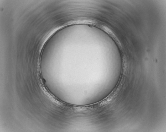 X0000052600852200507221632