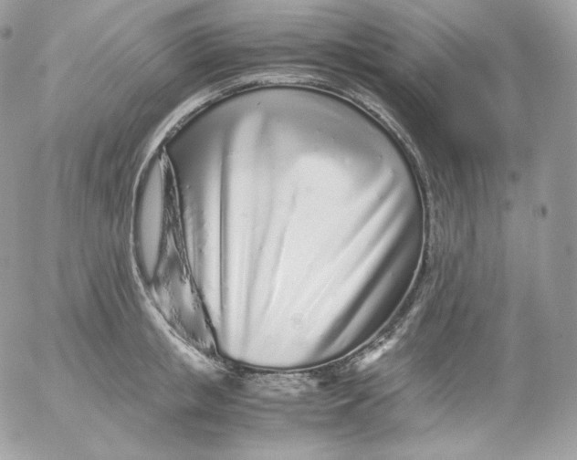 X0000052600853200507221632