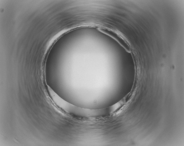 X0000052600854200507221632