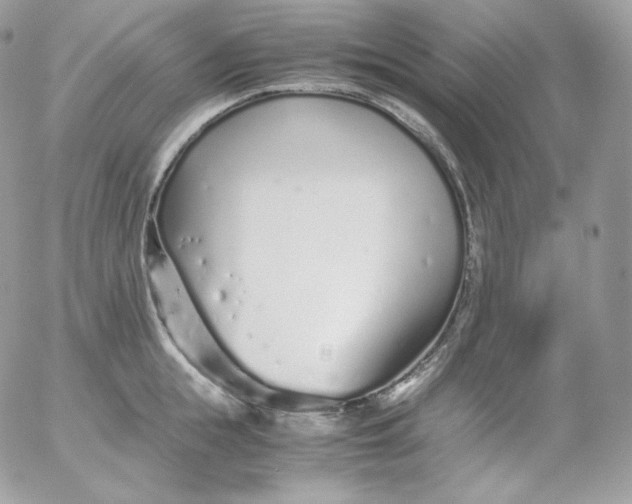 X0000052600855200507221632