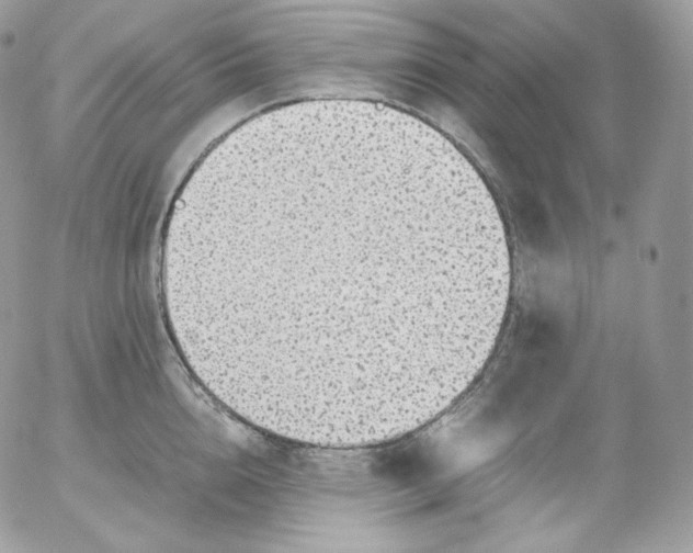 X0000052600856200507221632