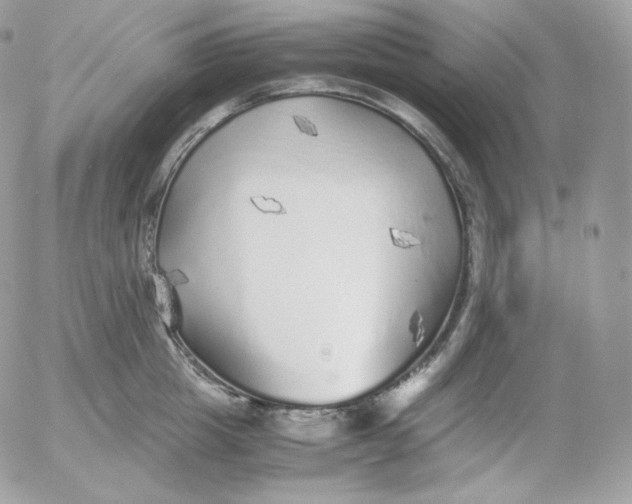 X0000052600857200507221632