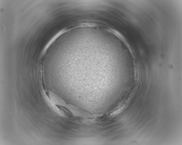 X0000052600859200507221632